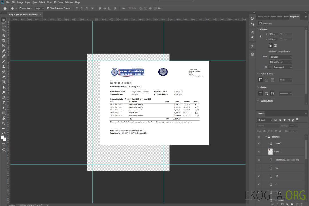 Déclaration de la Nepal Bank Nepal template Déclaration de la Nepal Bank Nepal template